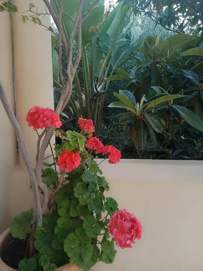 **  Riad Sahara Nour Marrakesz Maroko
