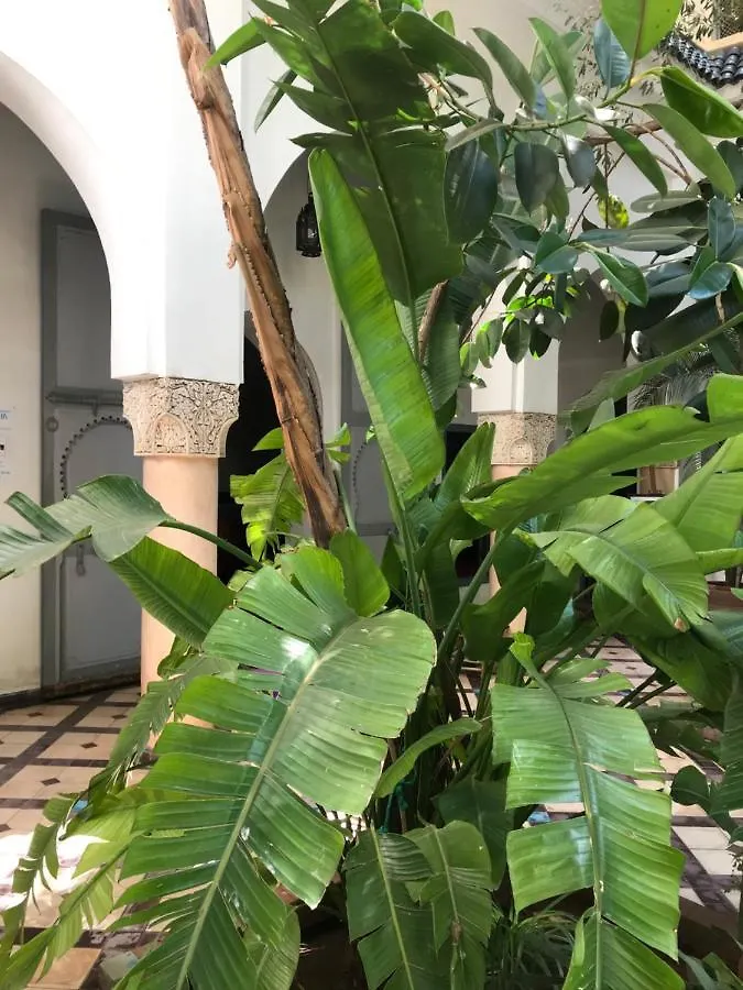 Riad Sahara Nour Marrakesz 2*,  Maroko